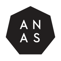 ANAS Logo
