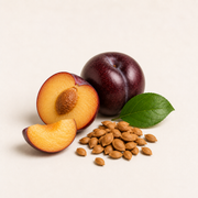 Plum Seed Extract