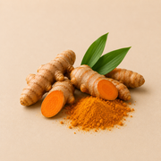 Turmeric Root