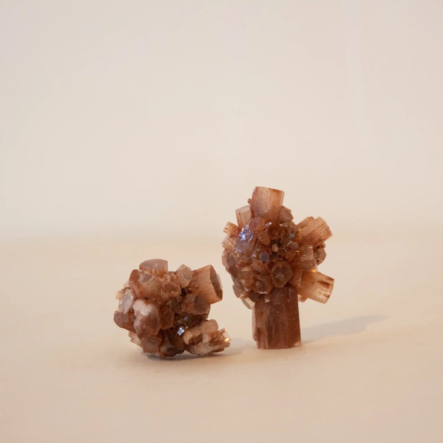 ANASCRYSTALCARE Brown Aragonite
