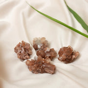 ANASCRYSTALCARE Brown Aragonite