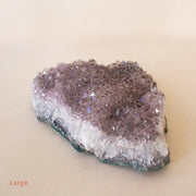 ANASCRYSTALCARE Decor Large Amethyst Cluster