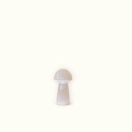 ANASCRYSTALCARE Decor Selenite Mushroom