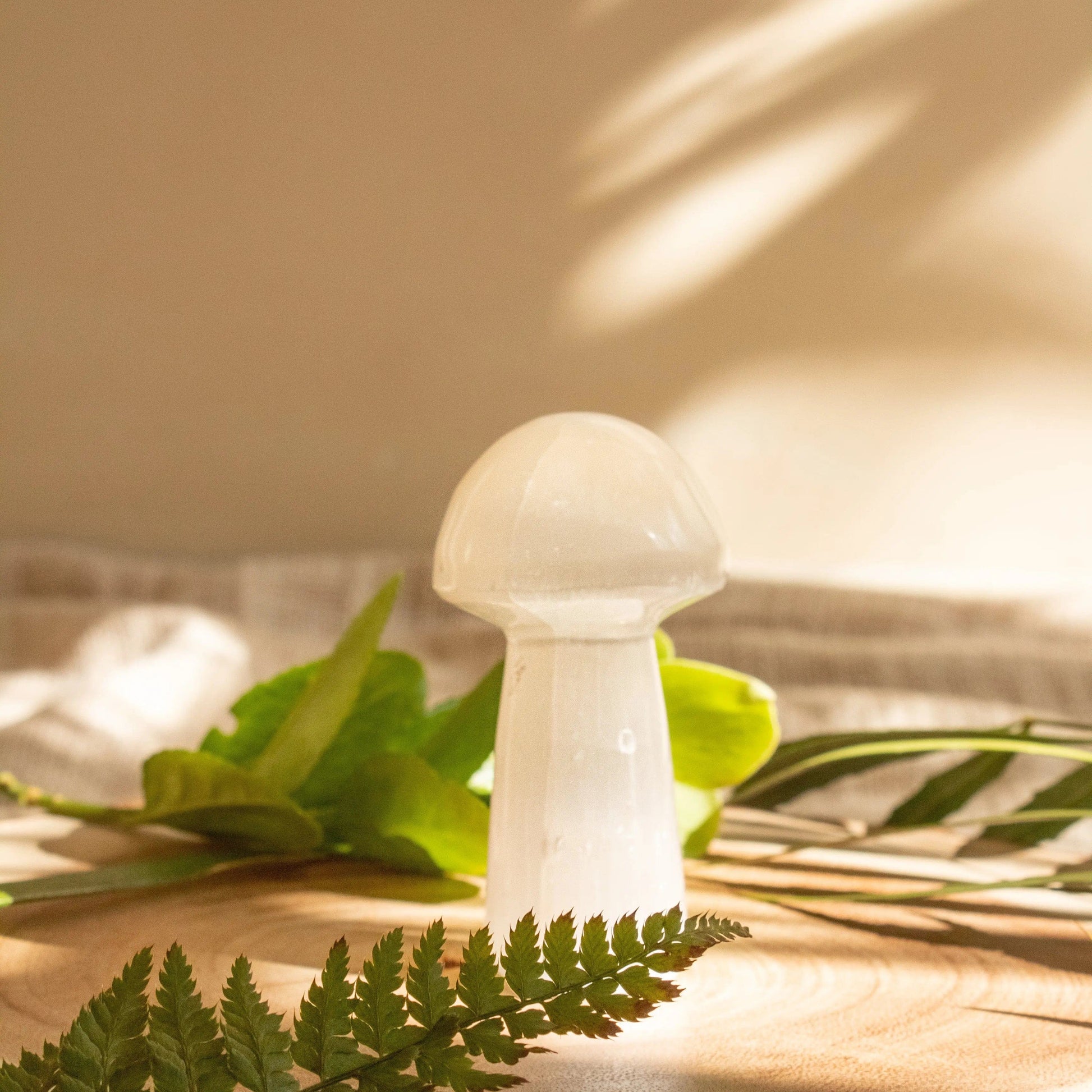 ANASCRYSTALCARE Decor Selenite Mushroom