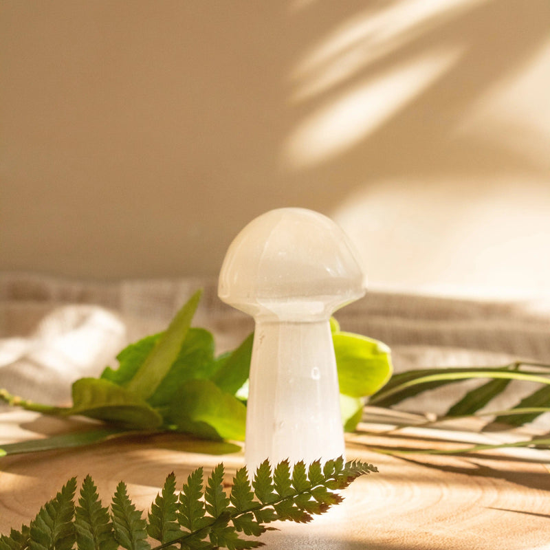 ANASCRYSTALCARE Decor Selenite Mushroom