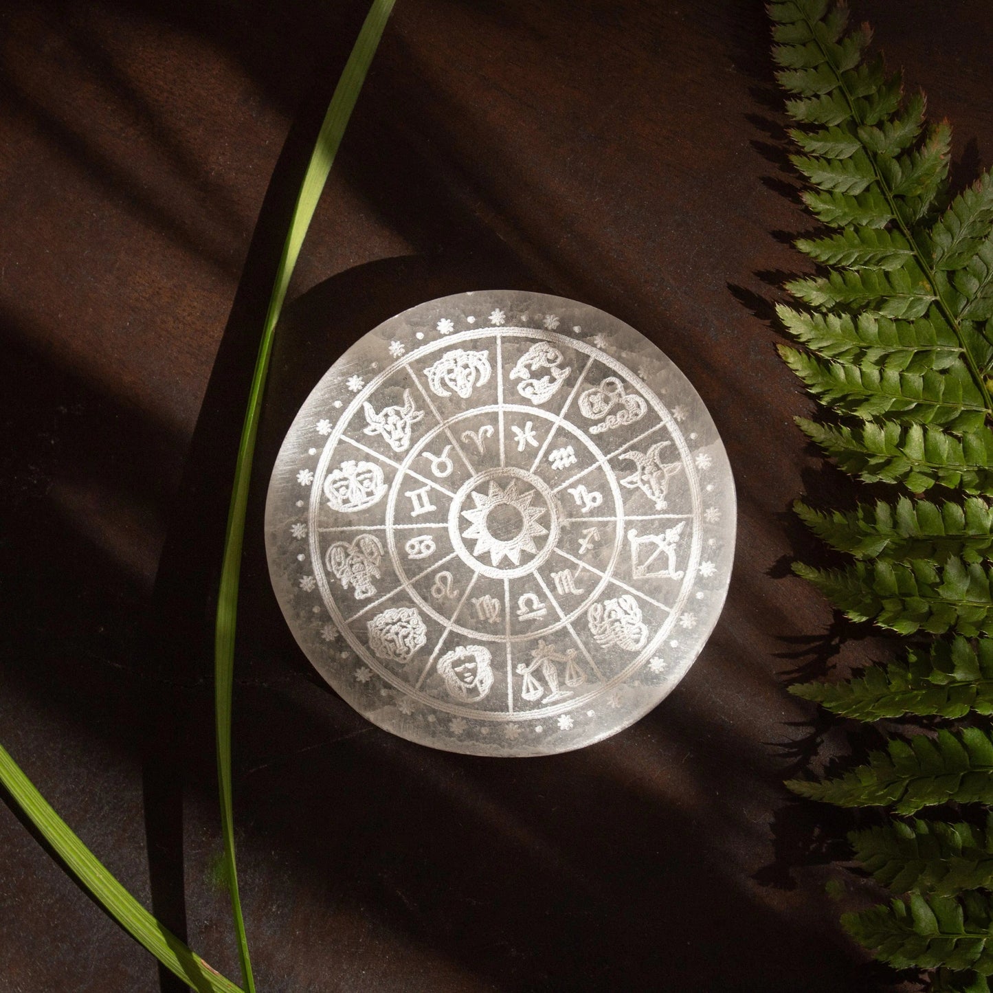ANASCRYSTALCARE Decorative Plates Selenite Zodiac Plate